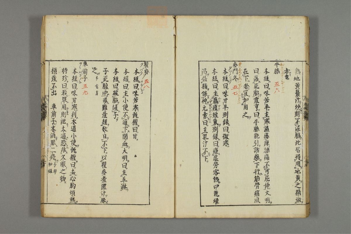 本草摘要(第21页)