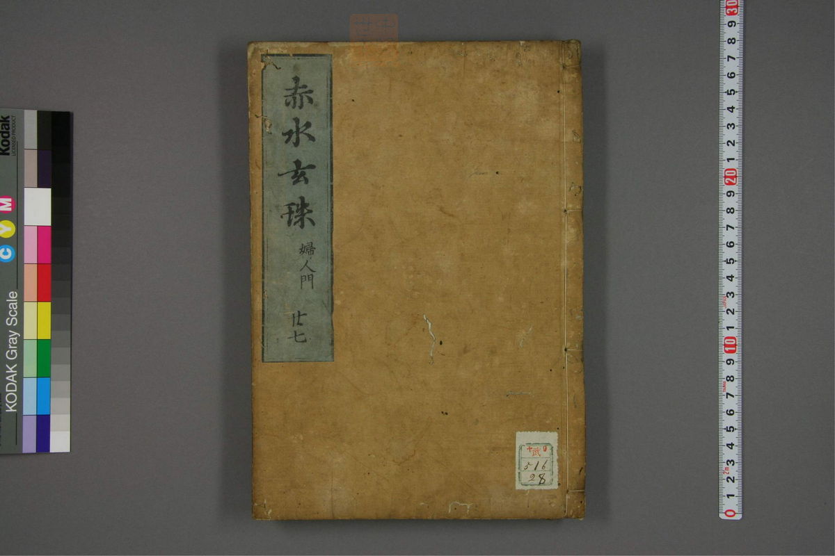 赤水玄珠(妇人全书.第25-29卷)(第196页)