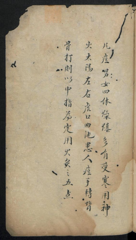 痘疹点烙及诊治(第13页)