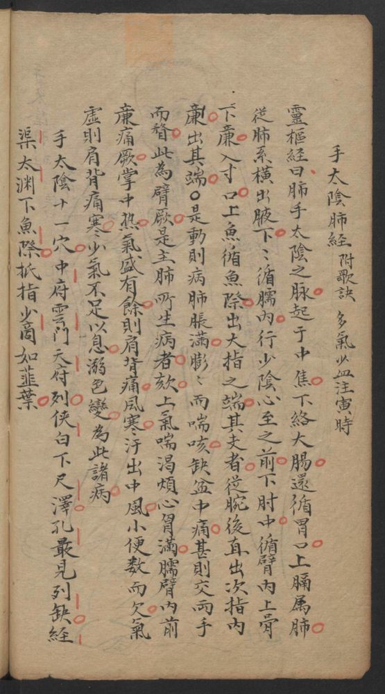 经穴指南(第24页)