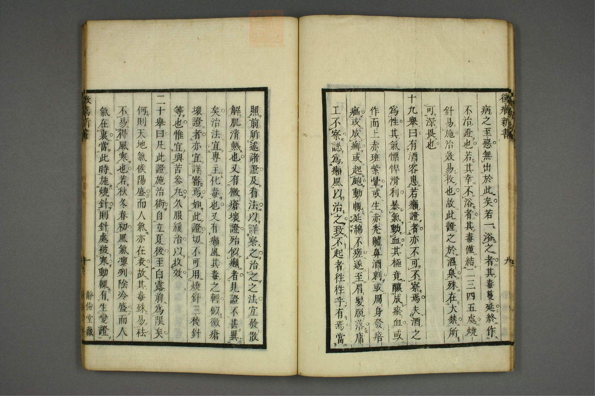 霉疠新书(第13页)