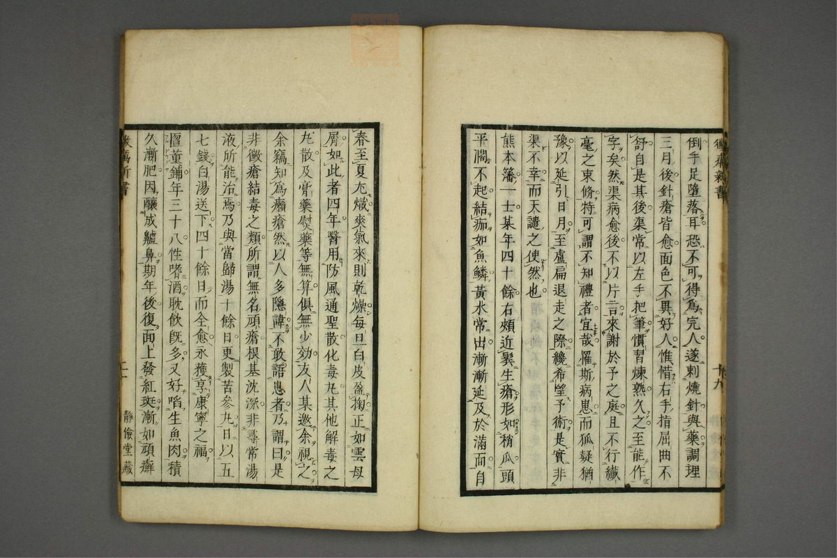 霉疠新书(第24页)