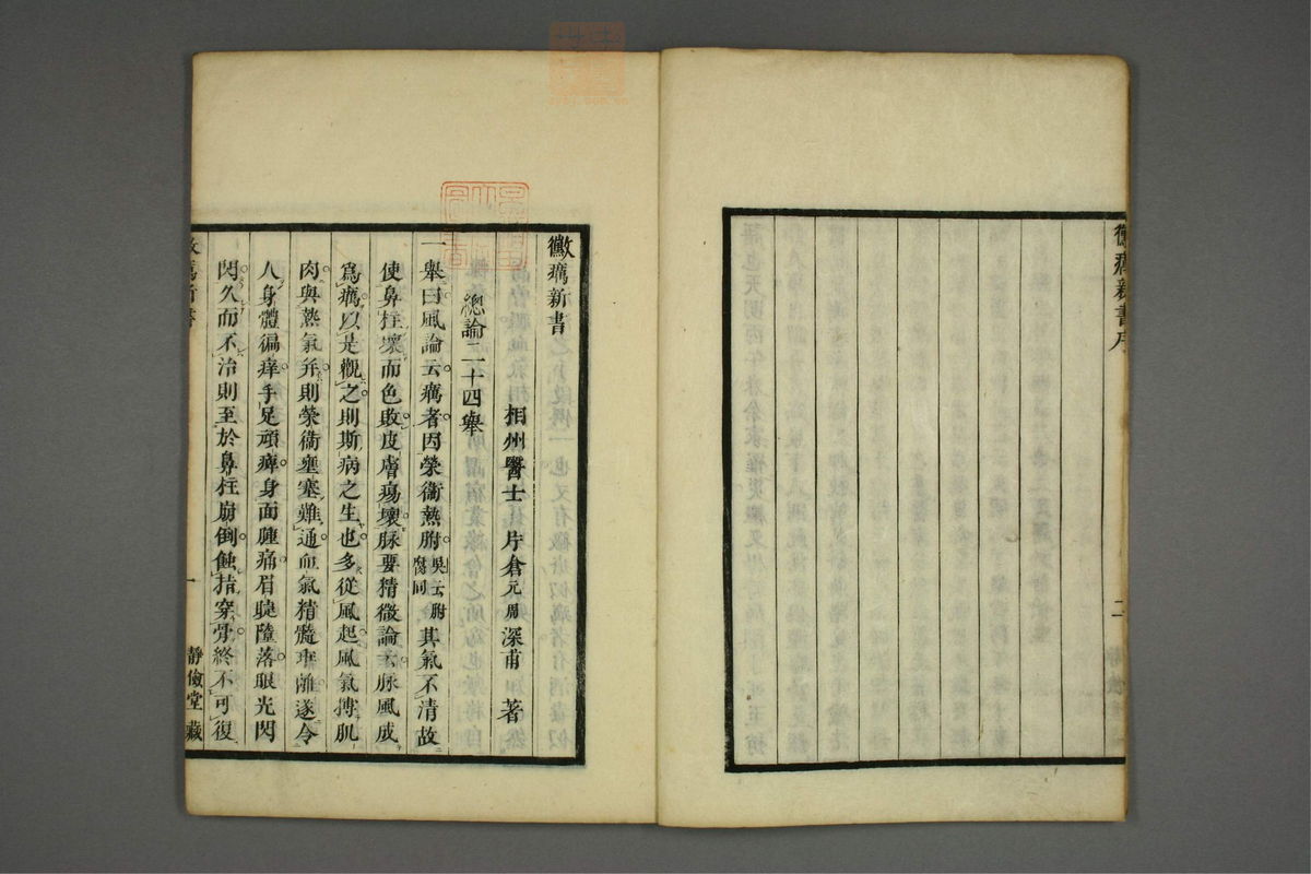 霉疠新书(第4页)