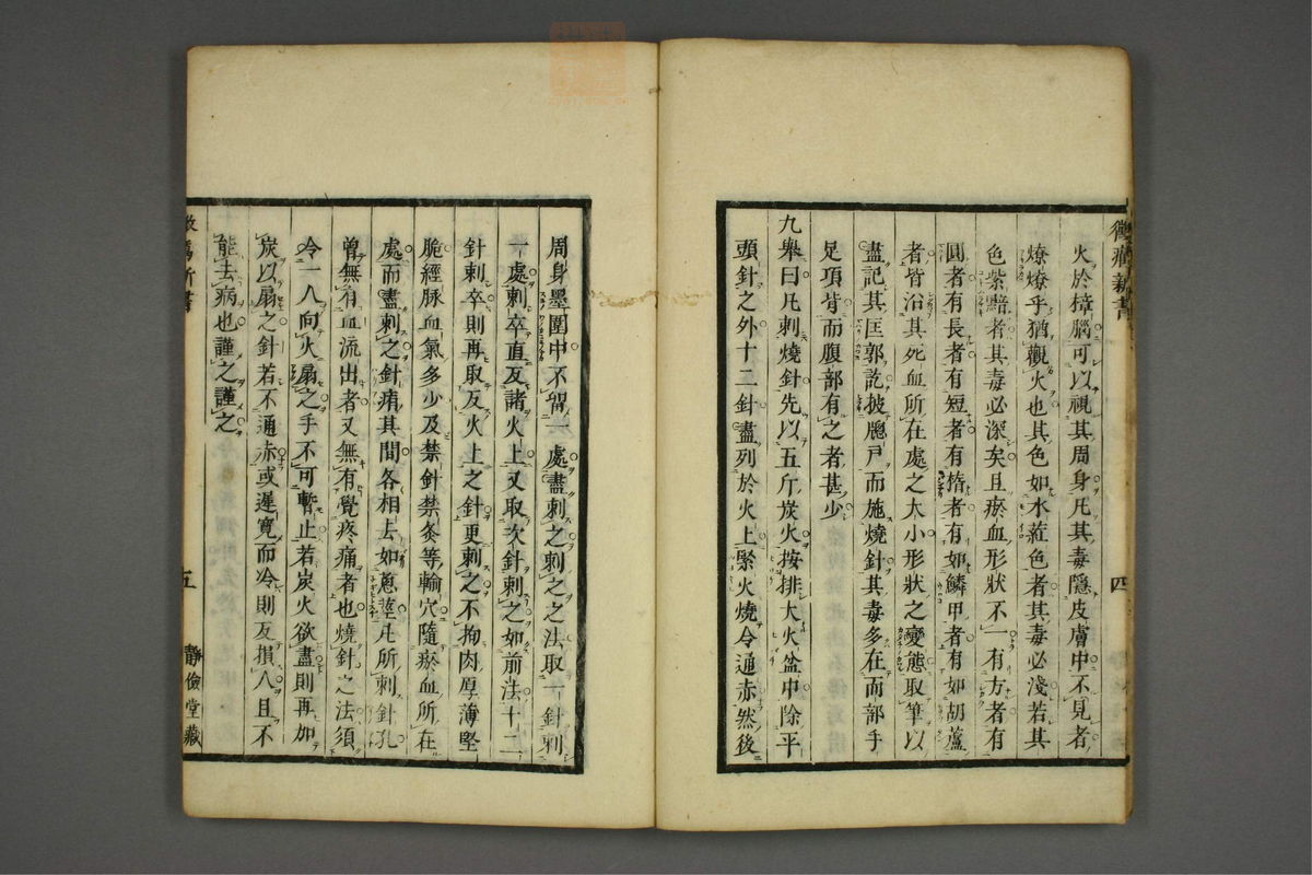 霉疠新书(第8页)