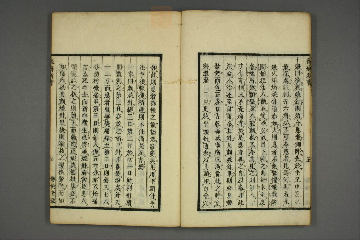 霉疠新书(第9页)