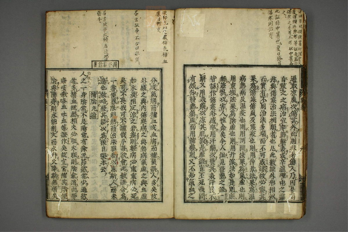 明医杂著(第14页)