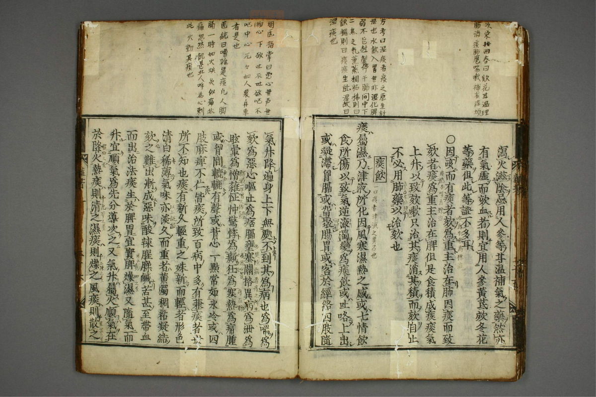 明医杂著(第30页)