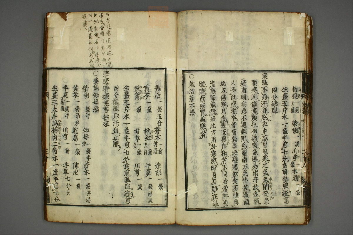 明医杂著(第34页)
