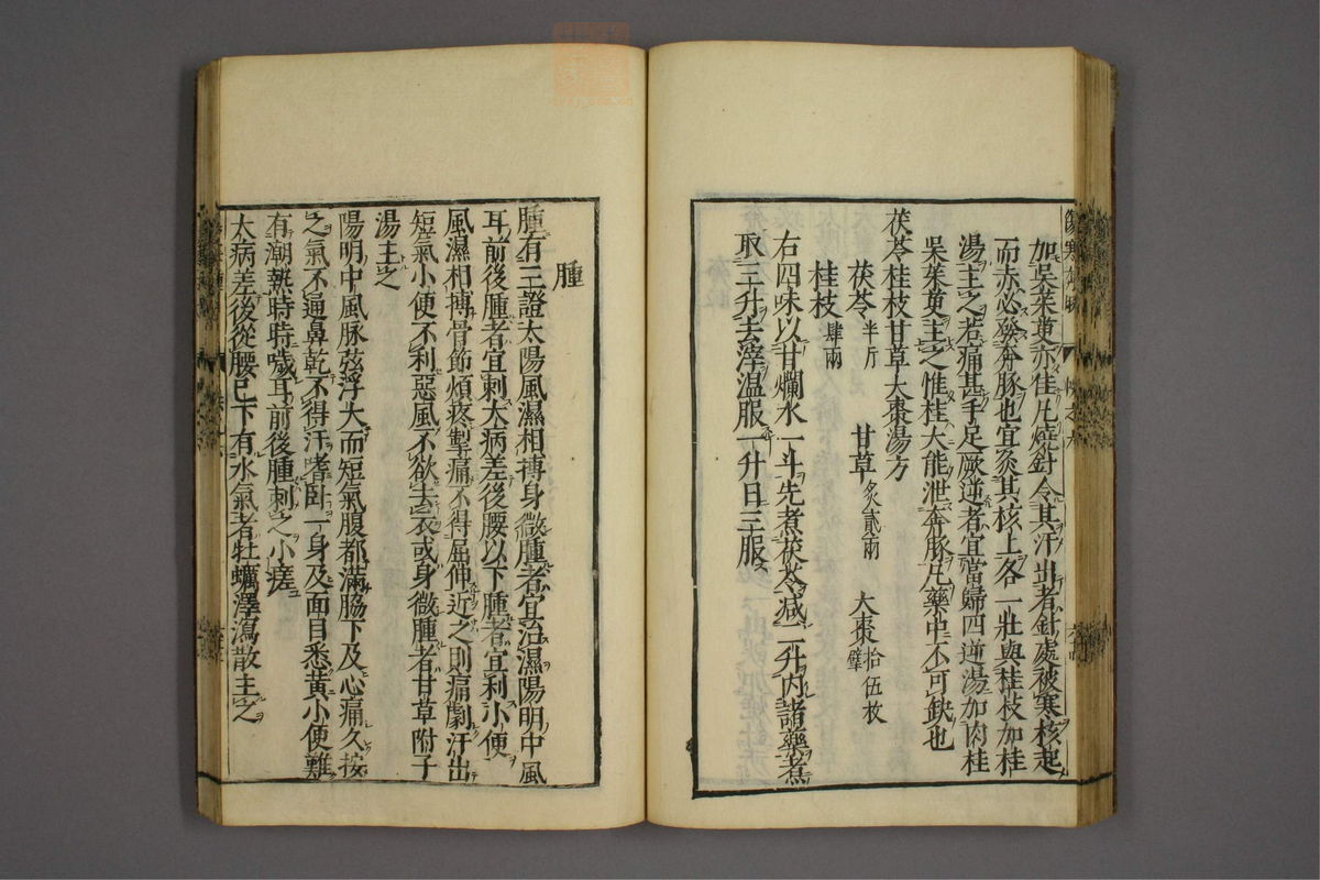 伤寒证治准绳(第595页)