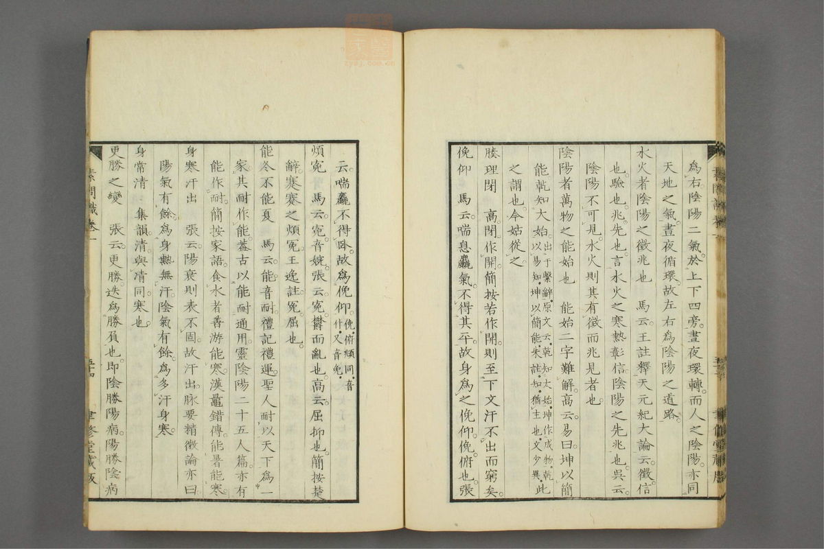 素问识(第81页)