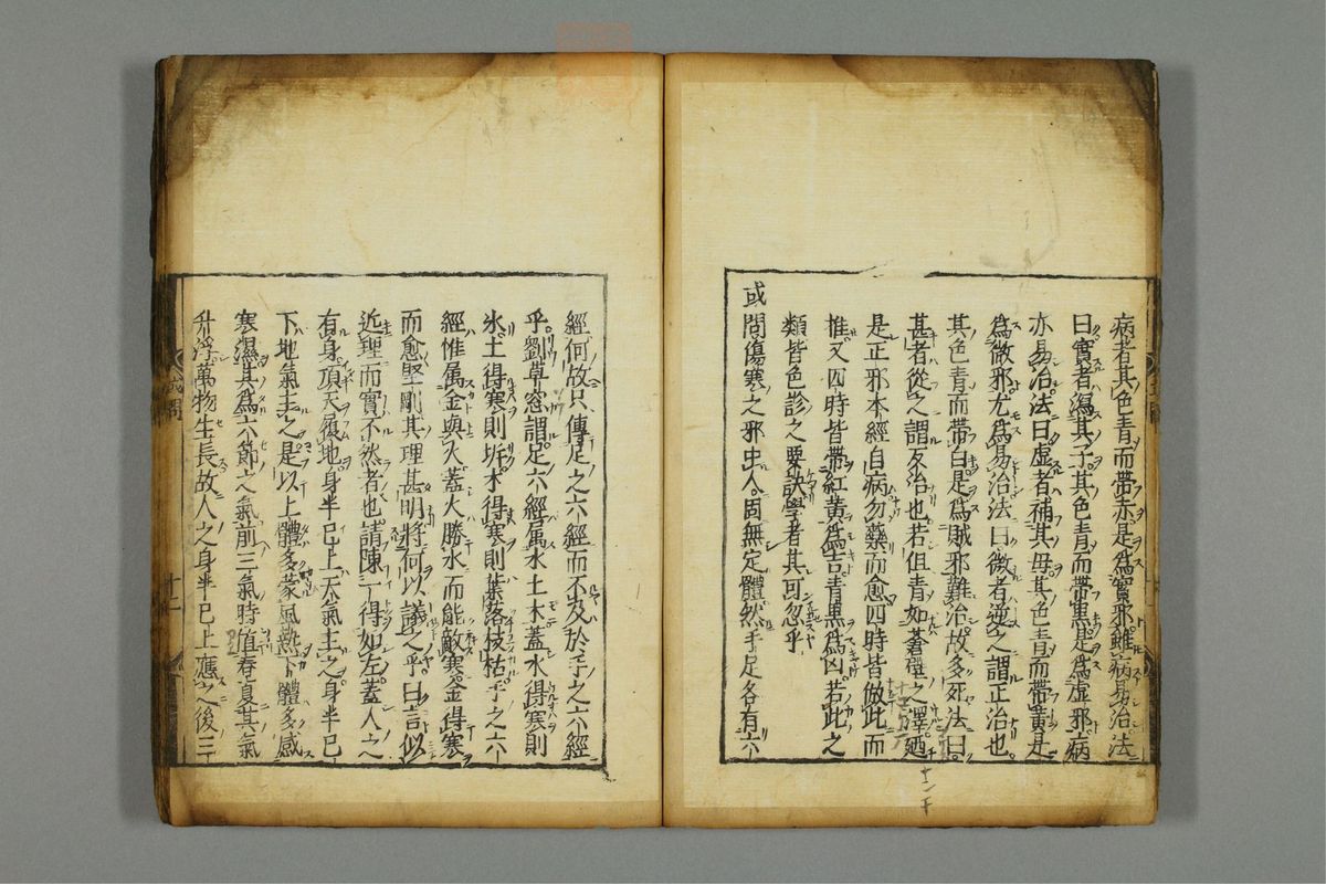 新编医学正传(第18页)
