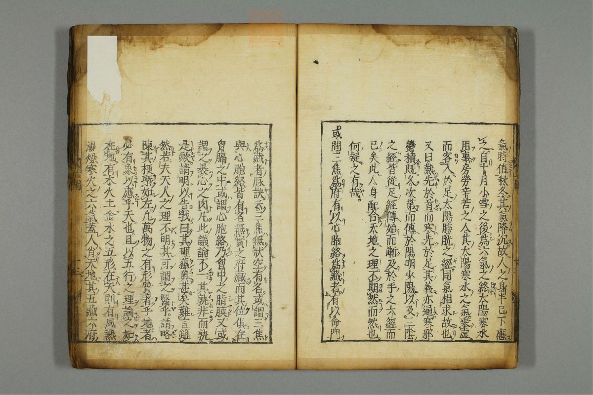 新编医学正传(第19页)
