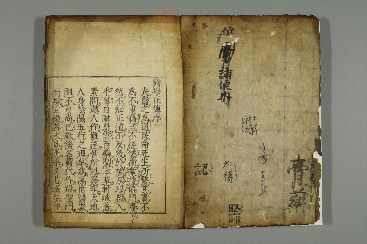 新编医学正传(第2页)