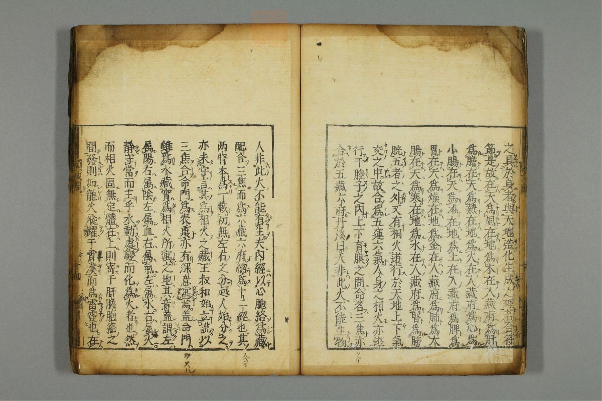 新编医学正传(第20页)