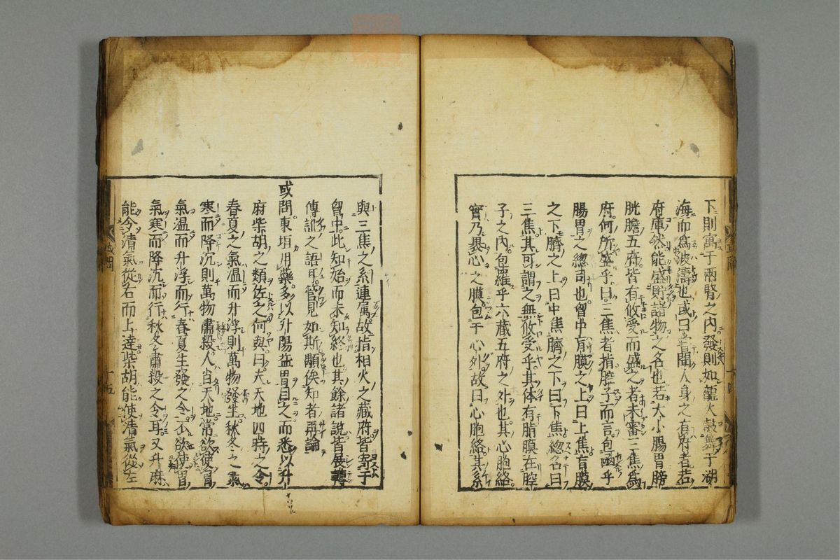 新编医学正传(第21页)