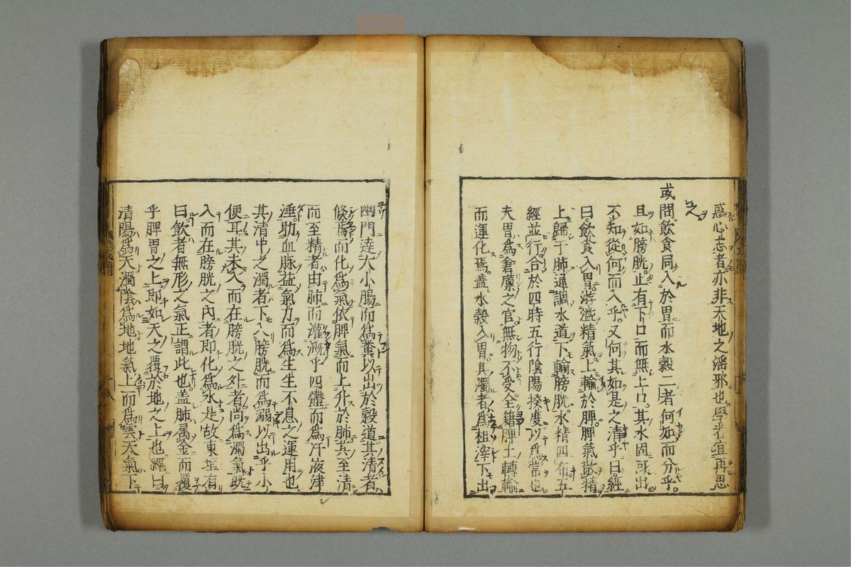新编医学正传(第24页)