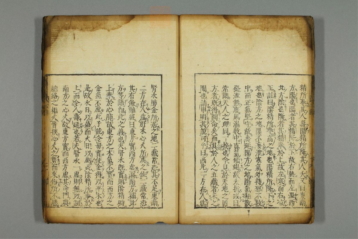 新编医学正传(第26页)