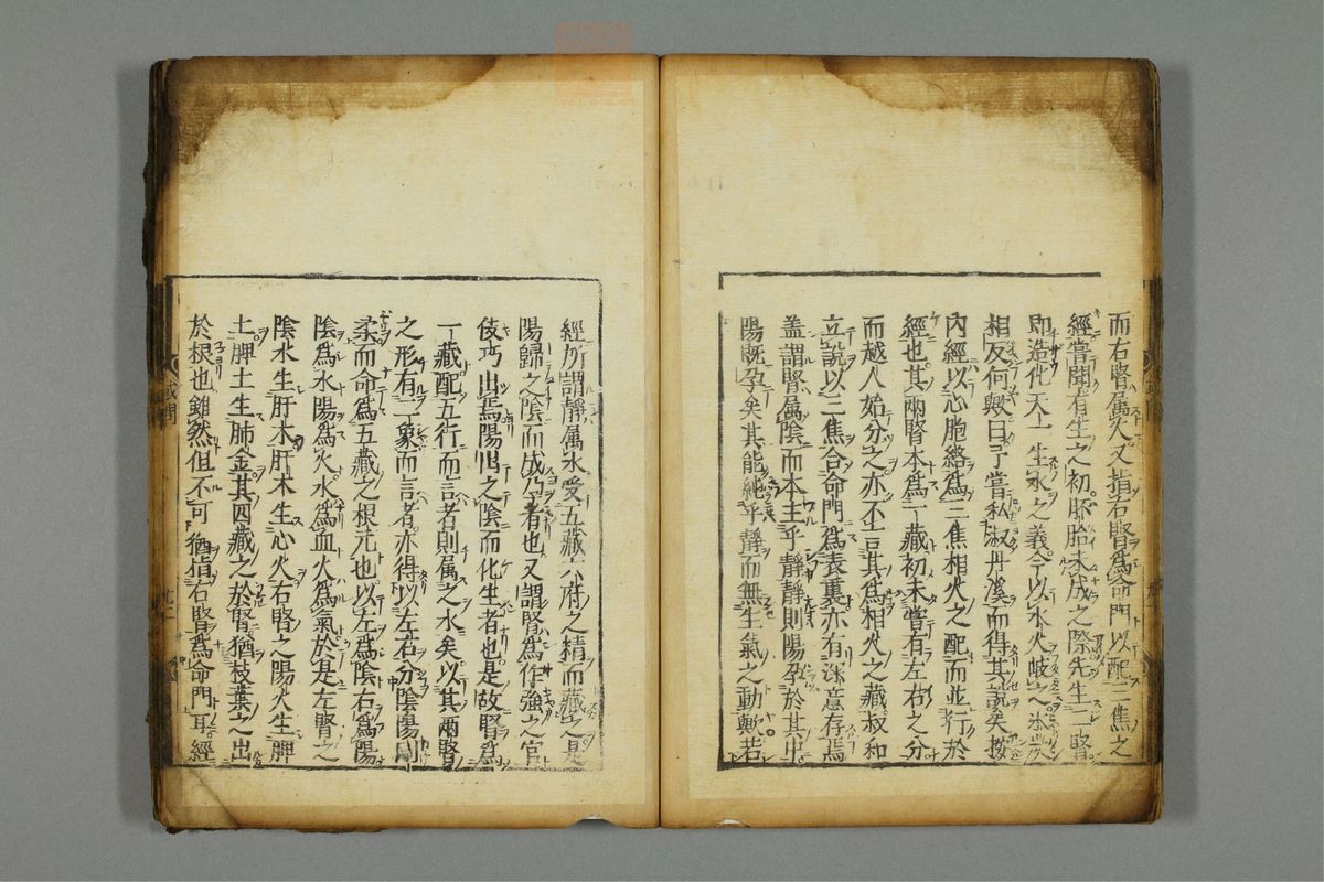 新编医学正传(第28页)