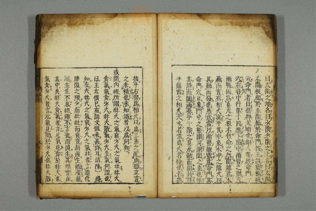 新编医学正传(第29页)