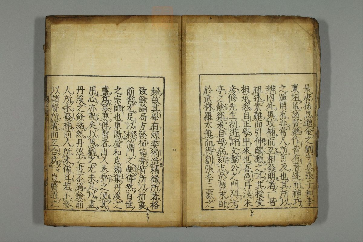 新编医学正传(第3页)