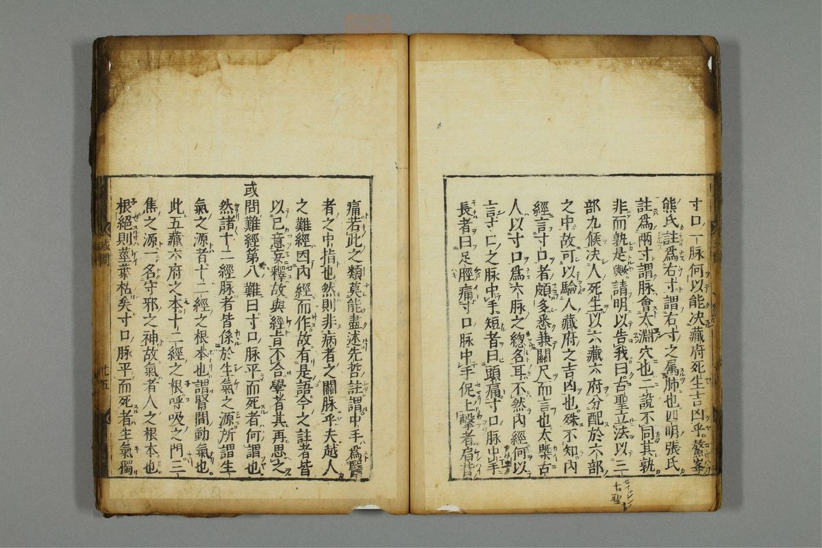 新编医学正传(第31页)