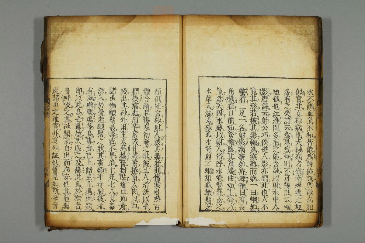 新编医学正传(第52页)