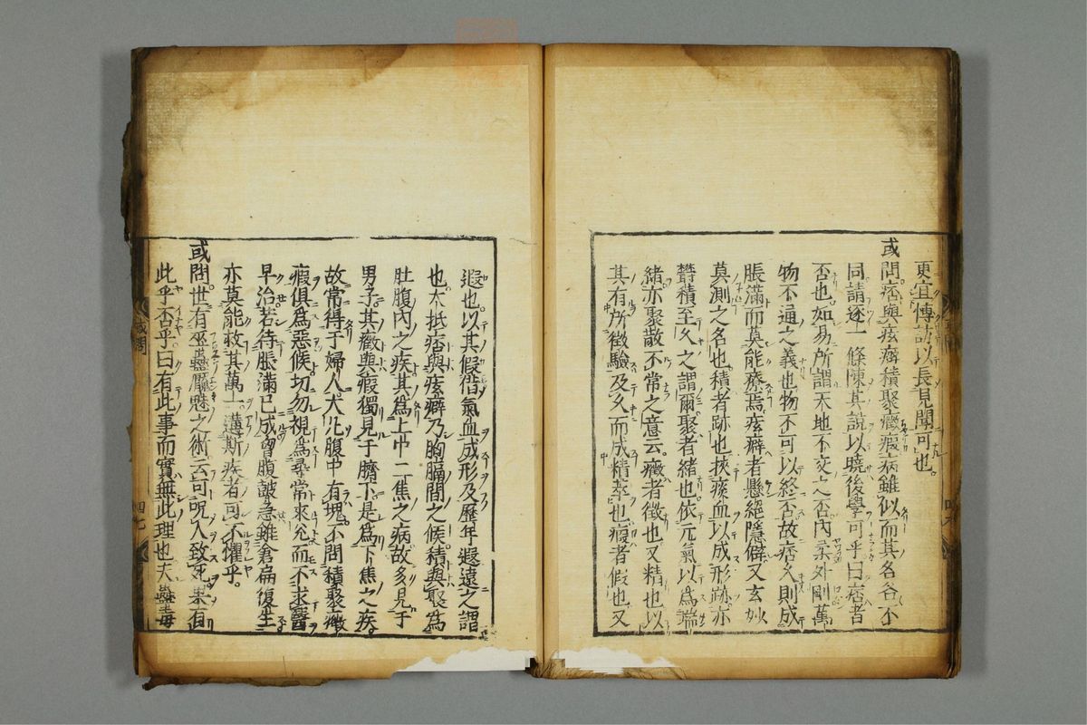 新编医学正传(第53页)