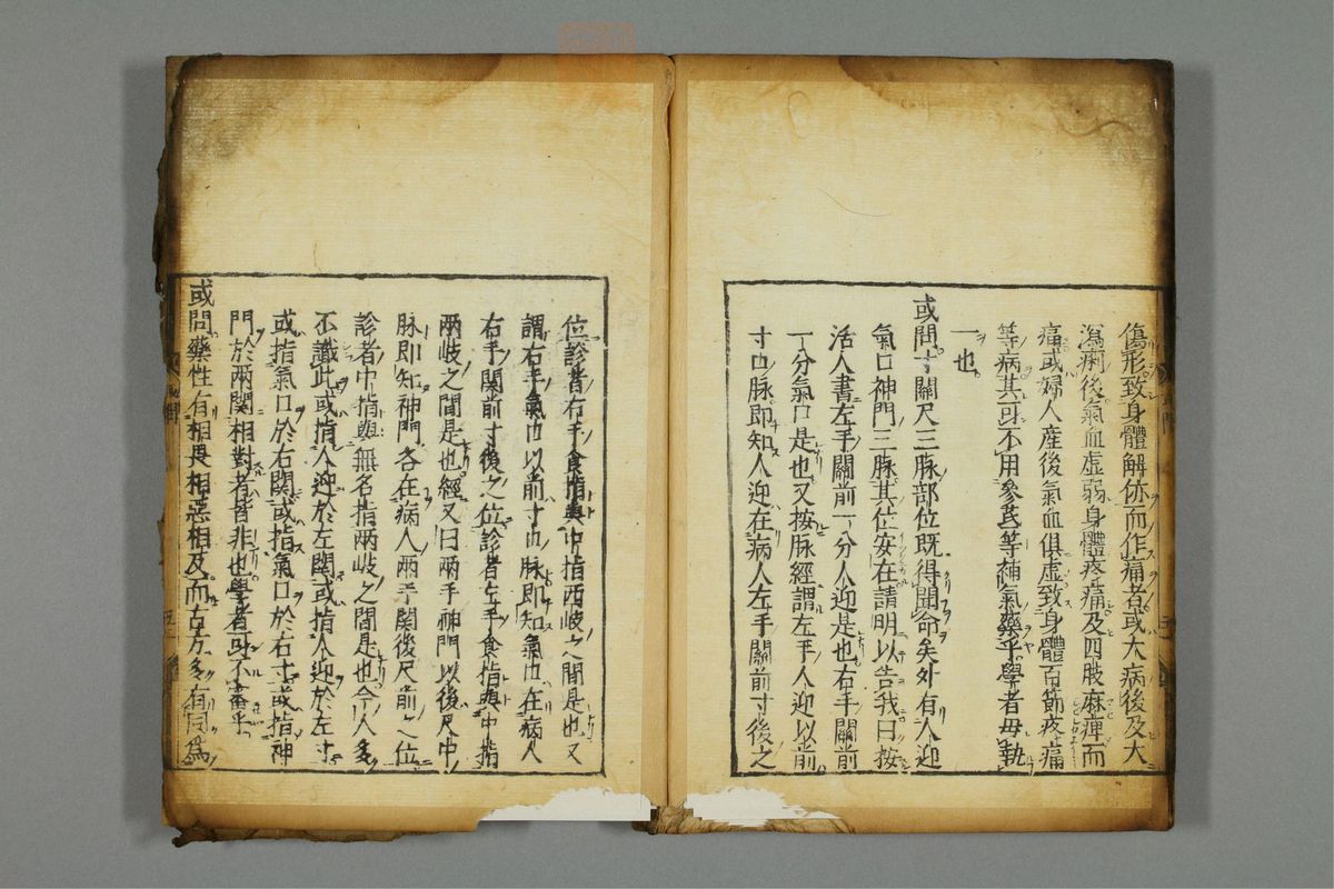 新编医学正传(第58页)
