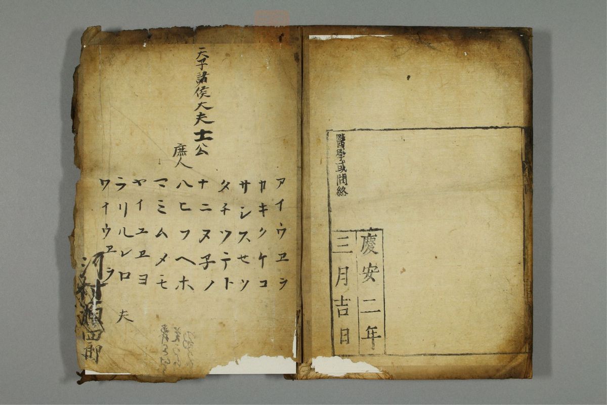 新编医学正传(第63页)