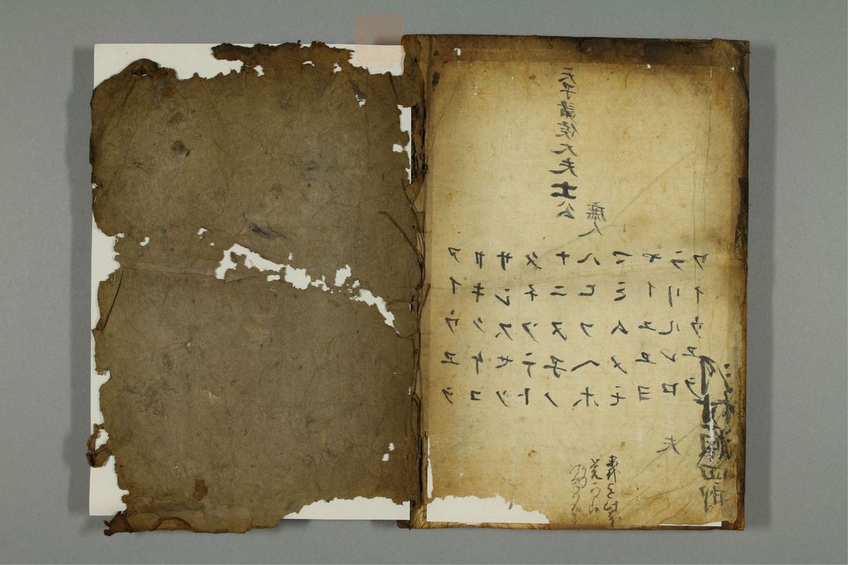 新编医学正传(第64页)