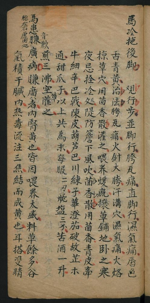 医马经(第29页)