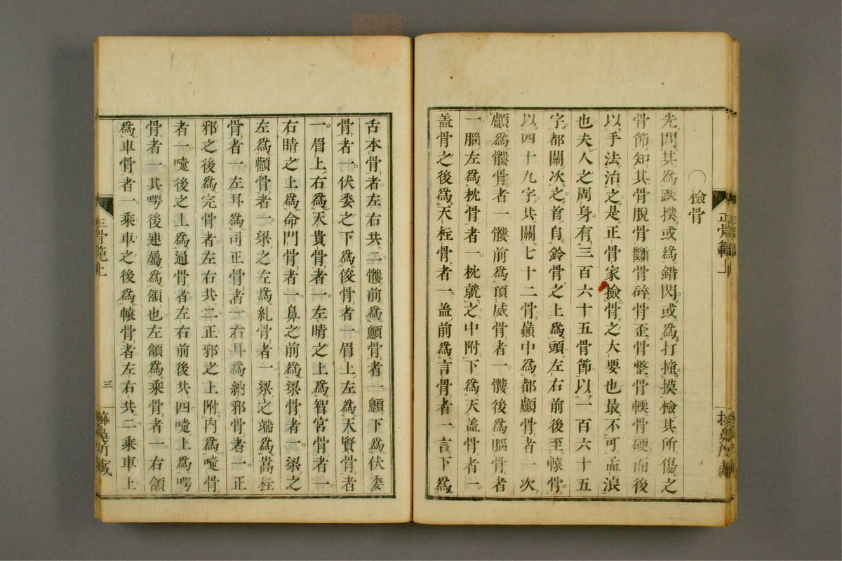 正骨范(第20页)
