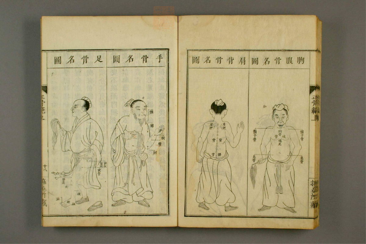 正骨范(第35页)