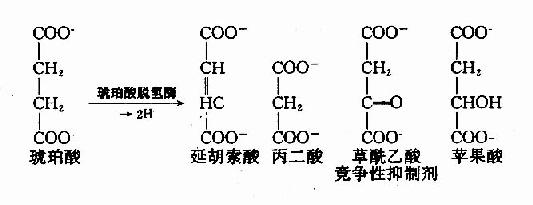 专一性不可逆抑制