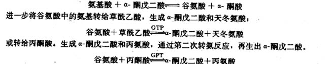 谷氨酸脱氢酶催化的氧化脱氢反应