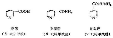 卟吩　血红素