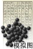 肾脑大补丸