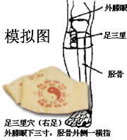 益岁甲马